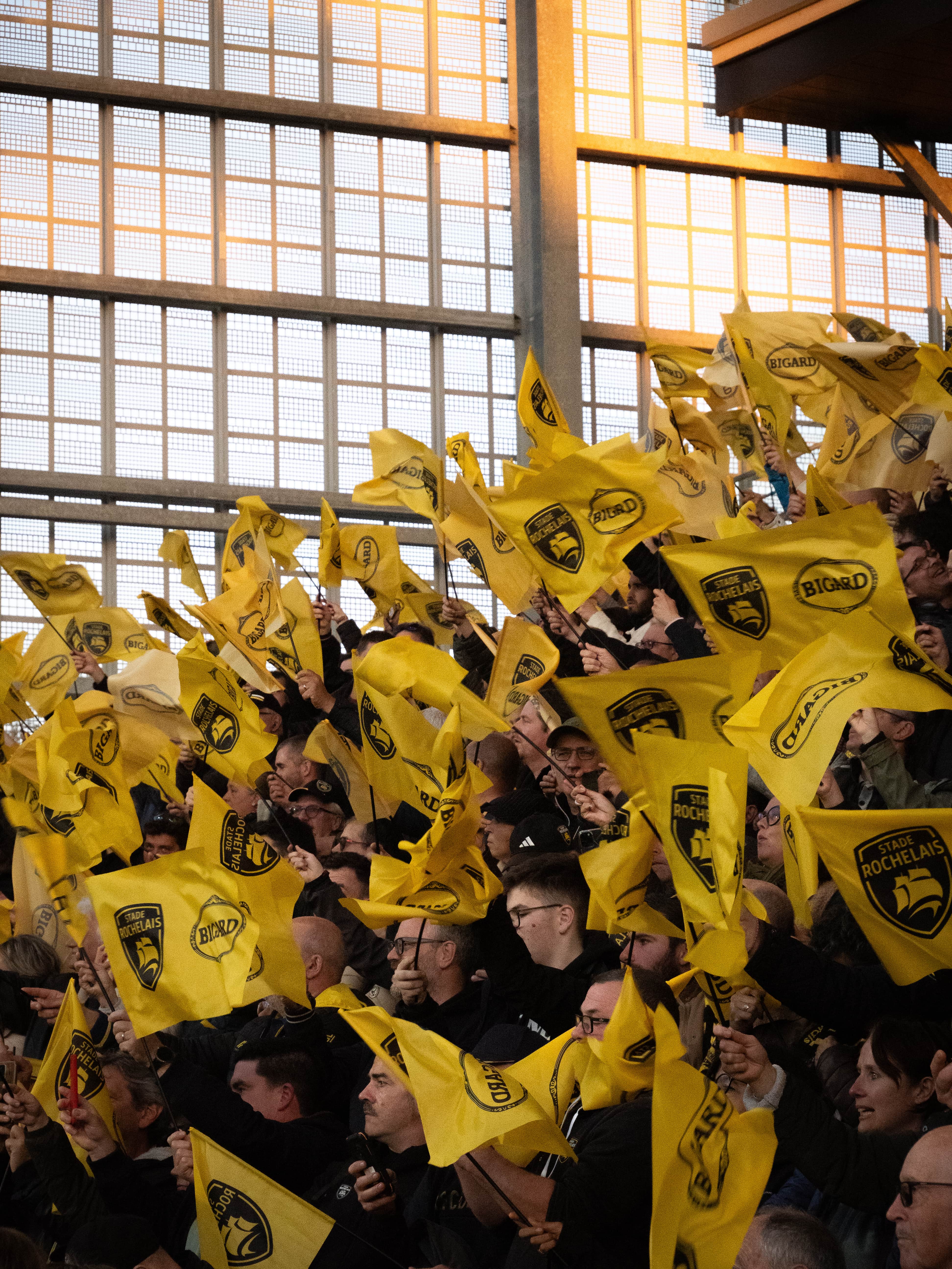 MyRugby : une soirée unique au Stade Rochelais