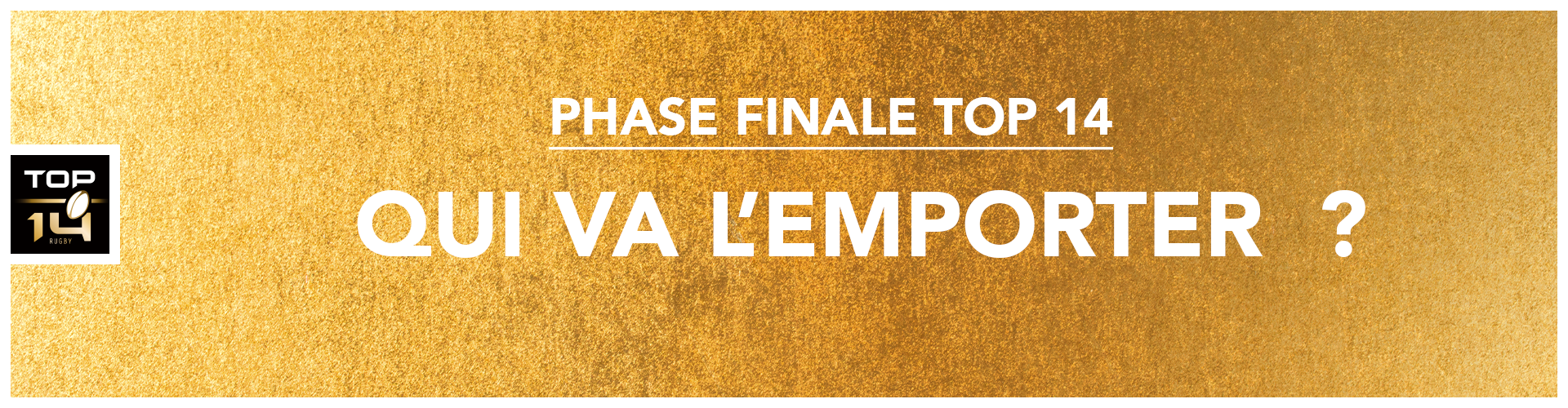 Pronostiquez la phase finale du TOP 14
