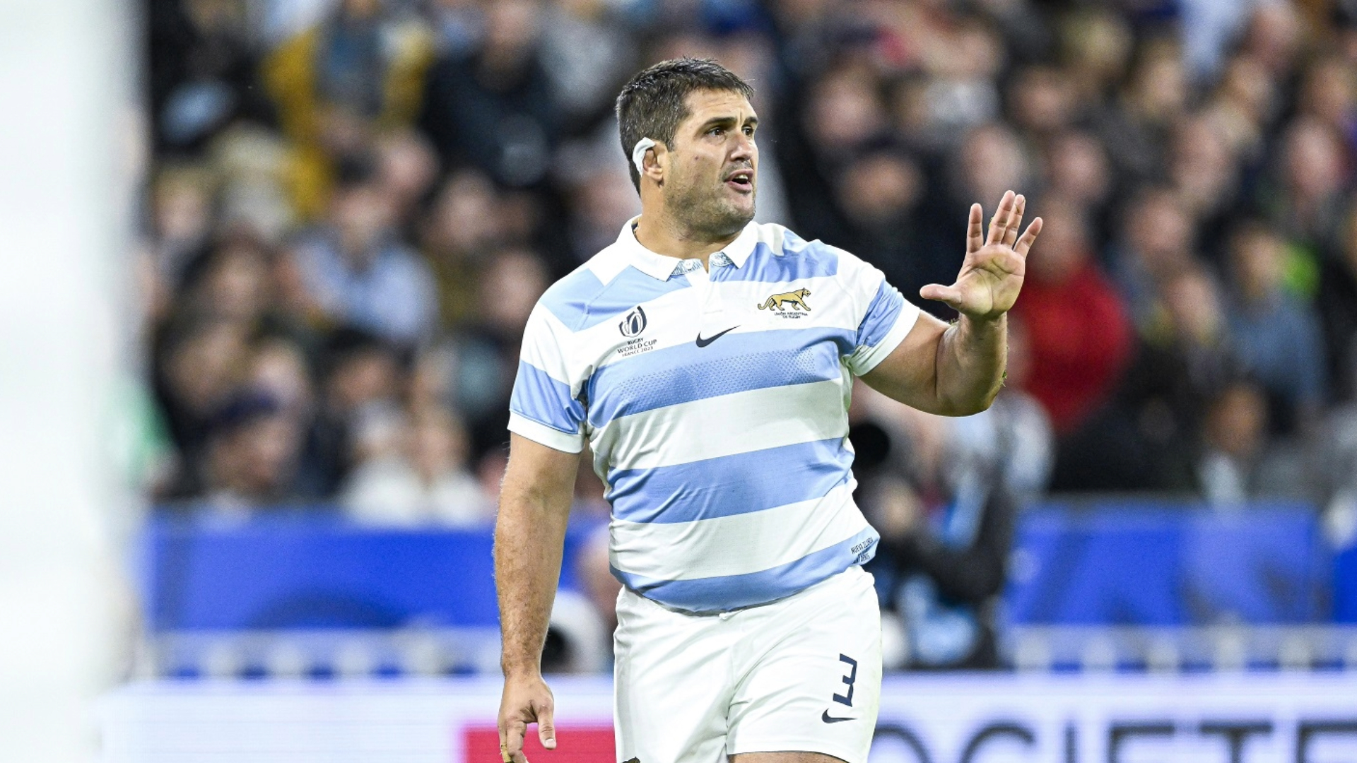 Urdapilleta, Gomez Kodela, Tafili seront les trois doyens de cette saison de TOP14