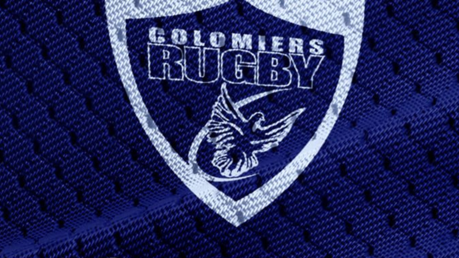 Histoire de blason : Colomiers, la colombe a pris son envol