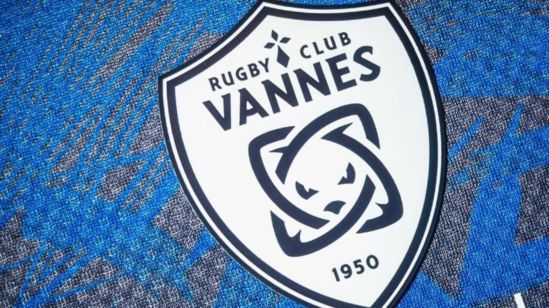 Histoire de blason : Vannes, fierté et identité