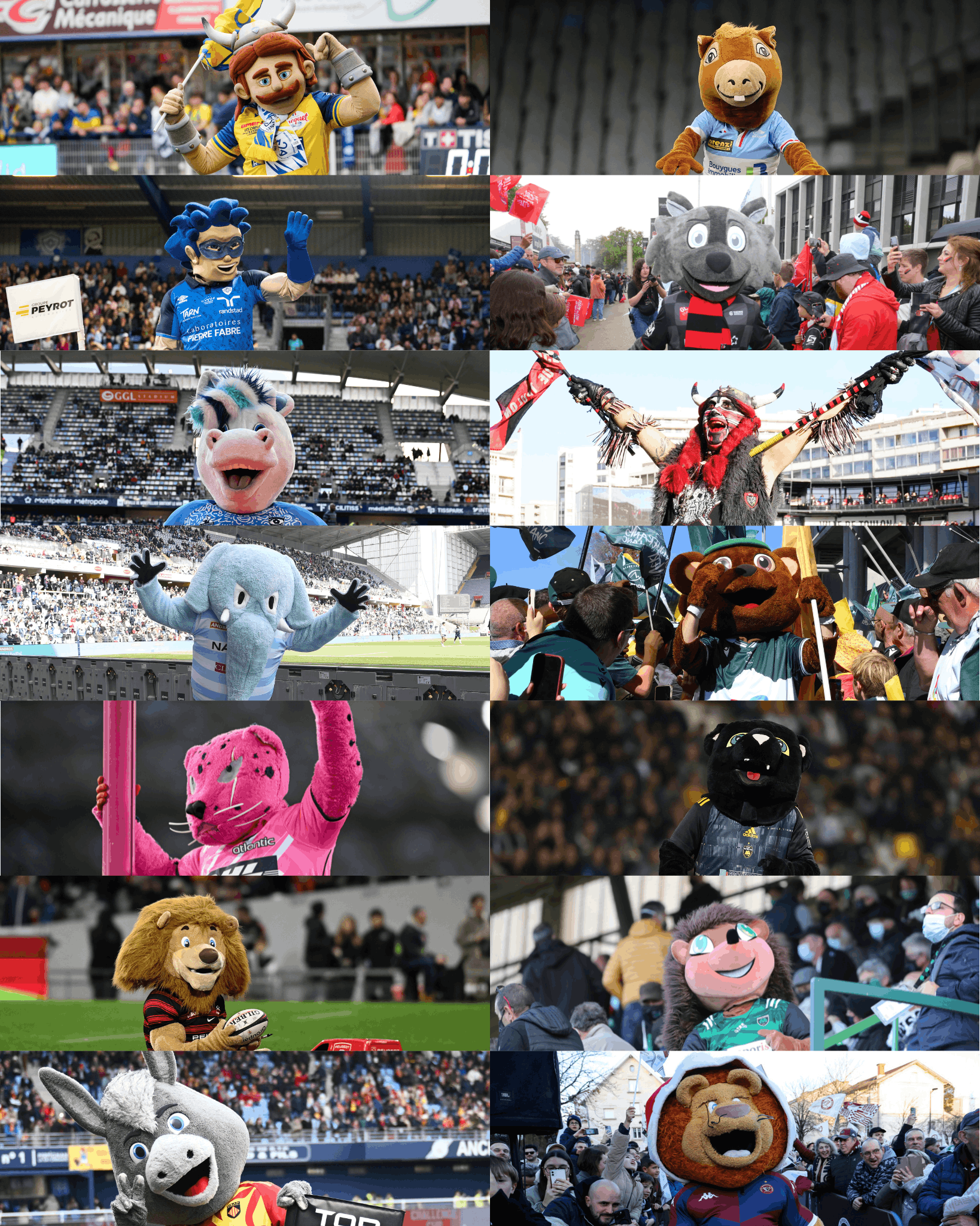 Fan Days : Élisez votre plus belle mascotte du TOP 14 !