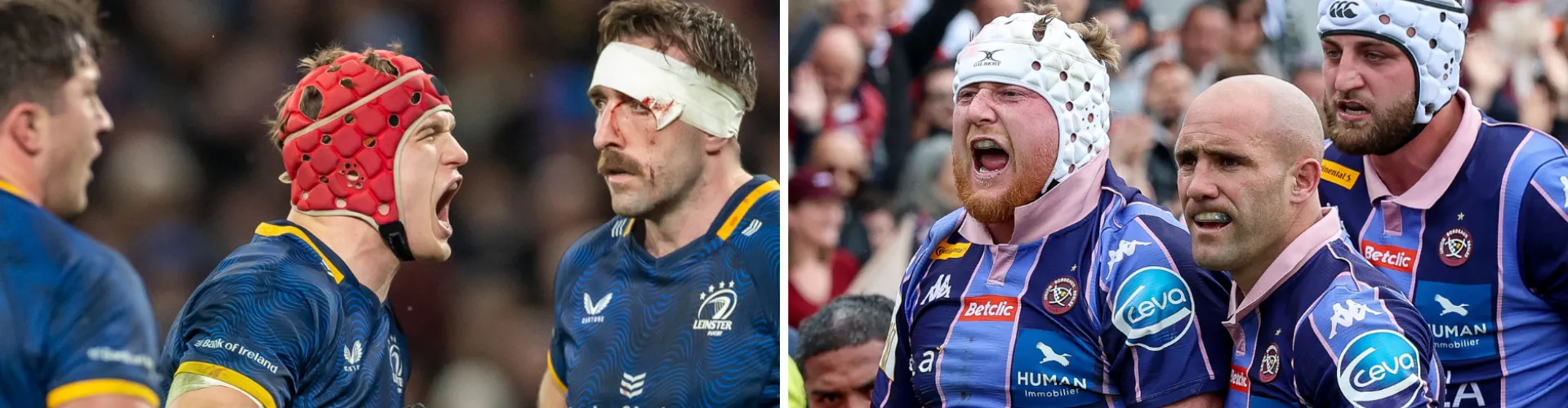 Champions Cup : L’UBB à la conquête d’une deuxième étoile