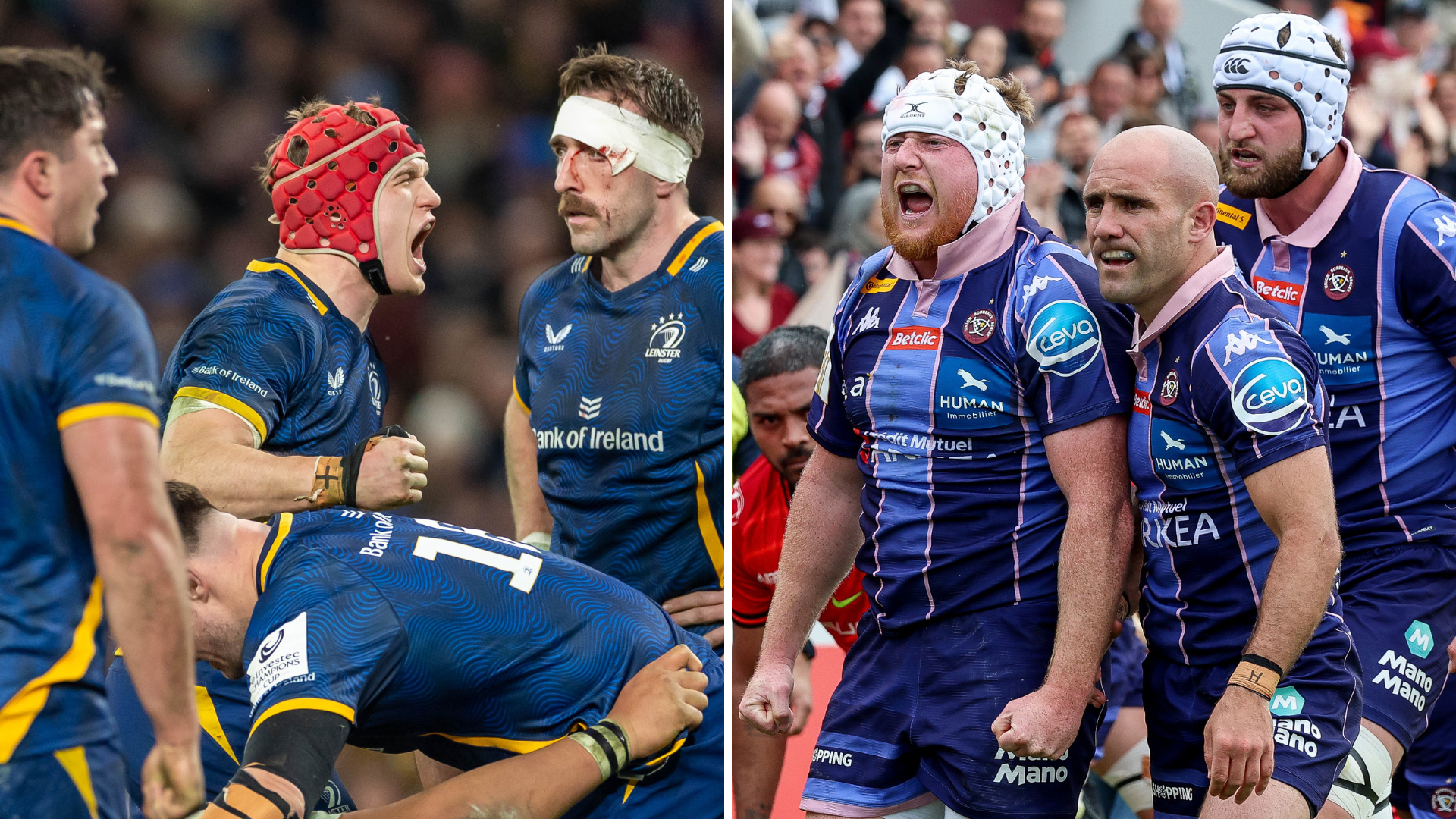 Champions Cup : L’UBB à la conquête d’une deuxième étoile