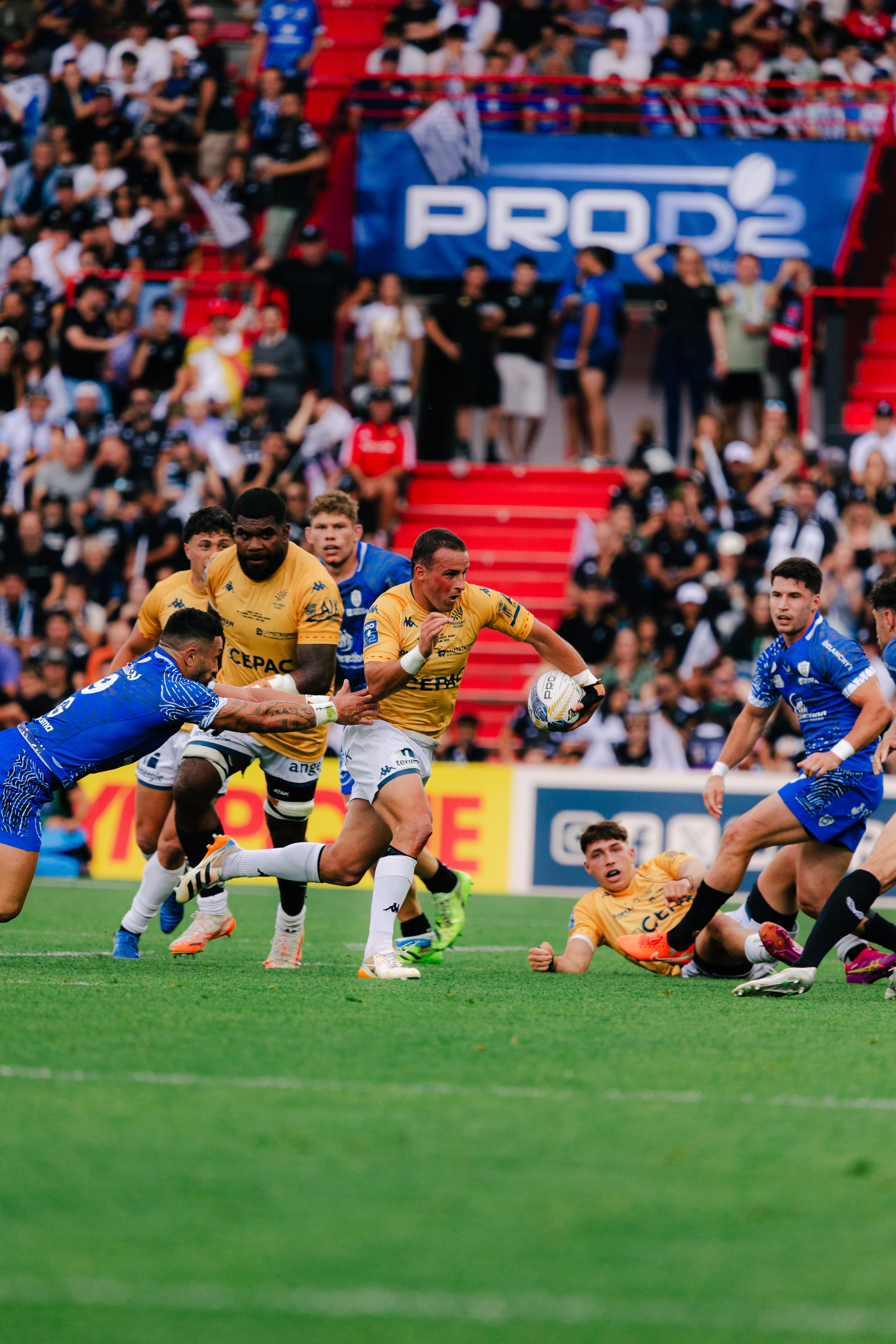 “On va repartir au mastic” : les déclarations de Provence Rugby après la finale