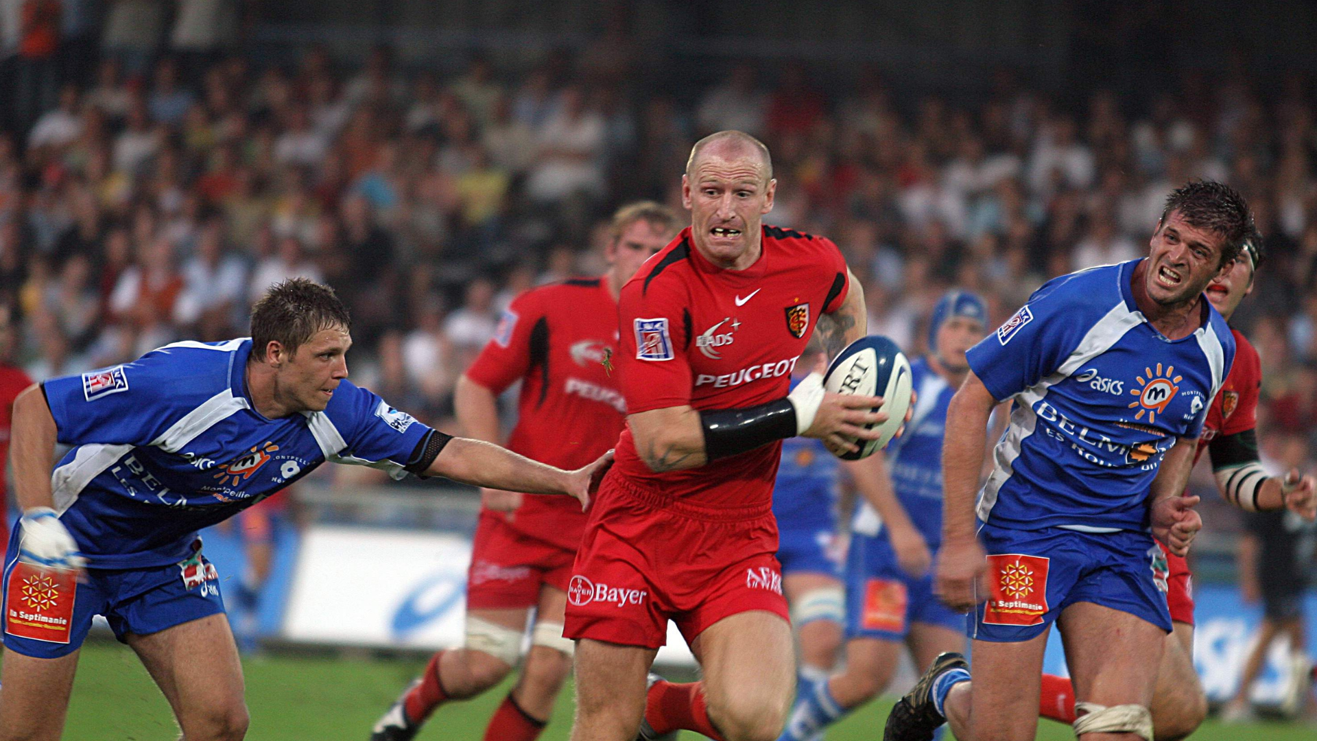 Toulouse-Montpellier, le « petit derby » d’Occitanie qui a bien grandi