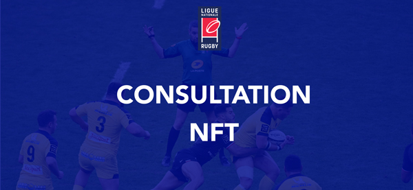 LA CONSULTATION SUR LES NFT EST LANCEE