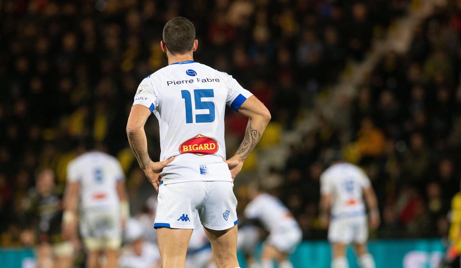 CHALLENGE CUP | CASTRES OLYMPIQUE - DRAGONS : 42-14