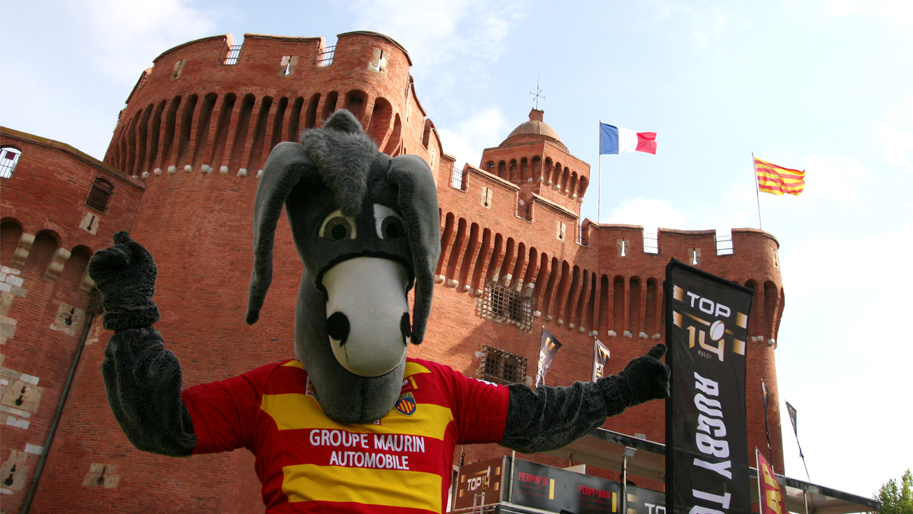 TOP 14 RUGBY TOUR - Perpignan en photos!