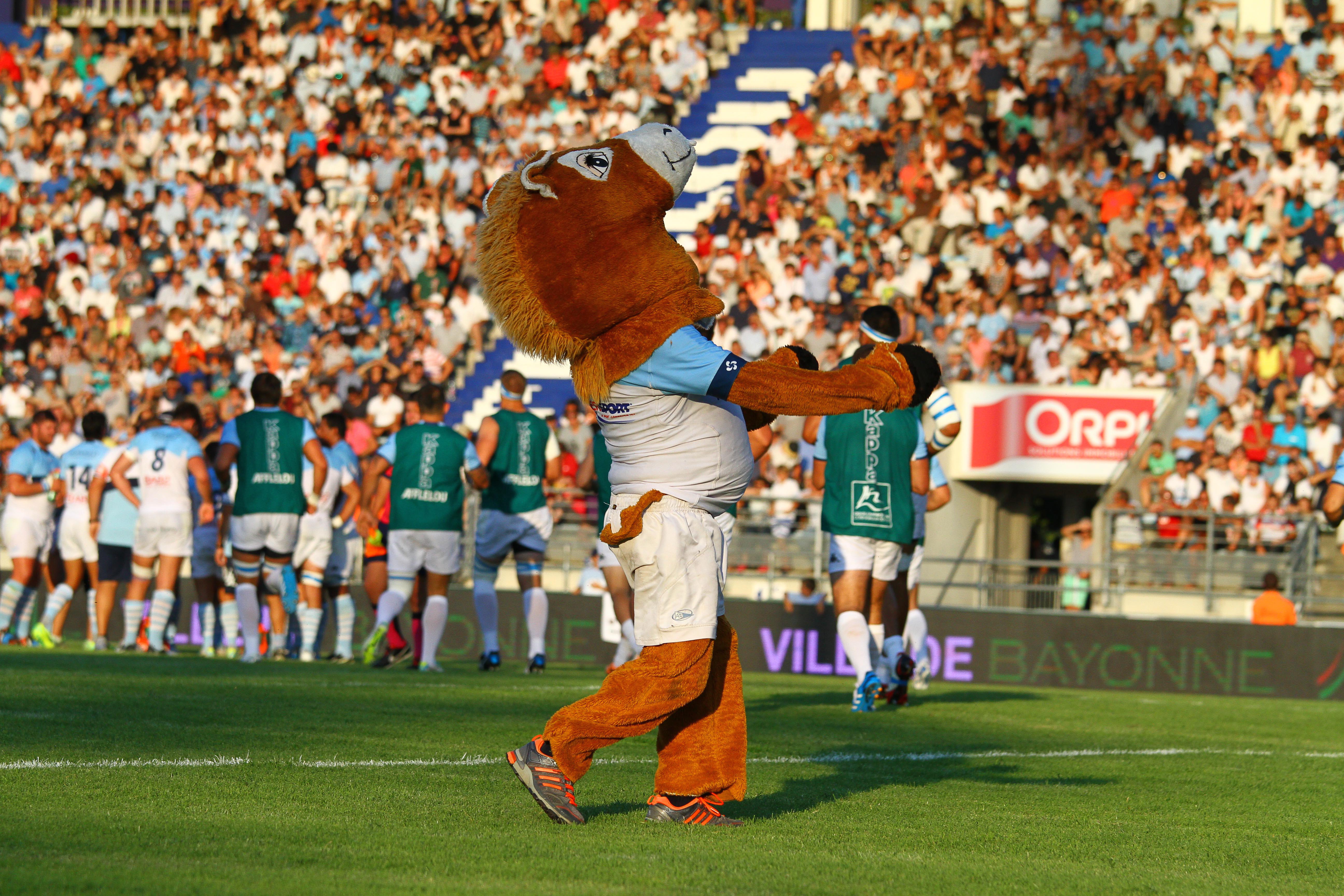 TOP 14, J20 - De nombreuses animations à Jean Dauger