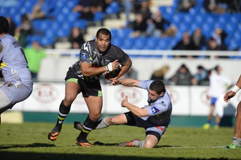 PRO D2, J30 - Colomiers – Pau : La Section à l'arrachée