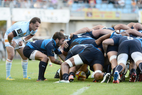 TOP 14 J19 – Montpellier-Perpignan : Perpignan ecrasé