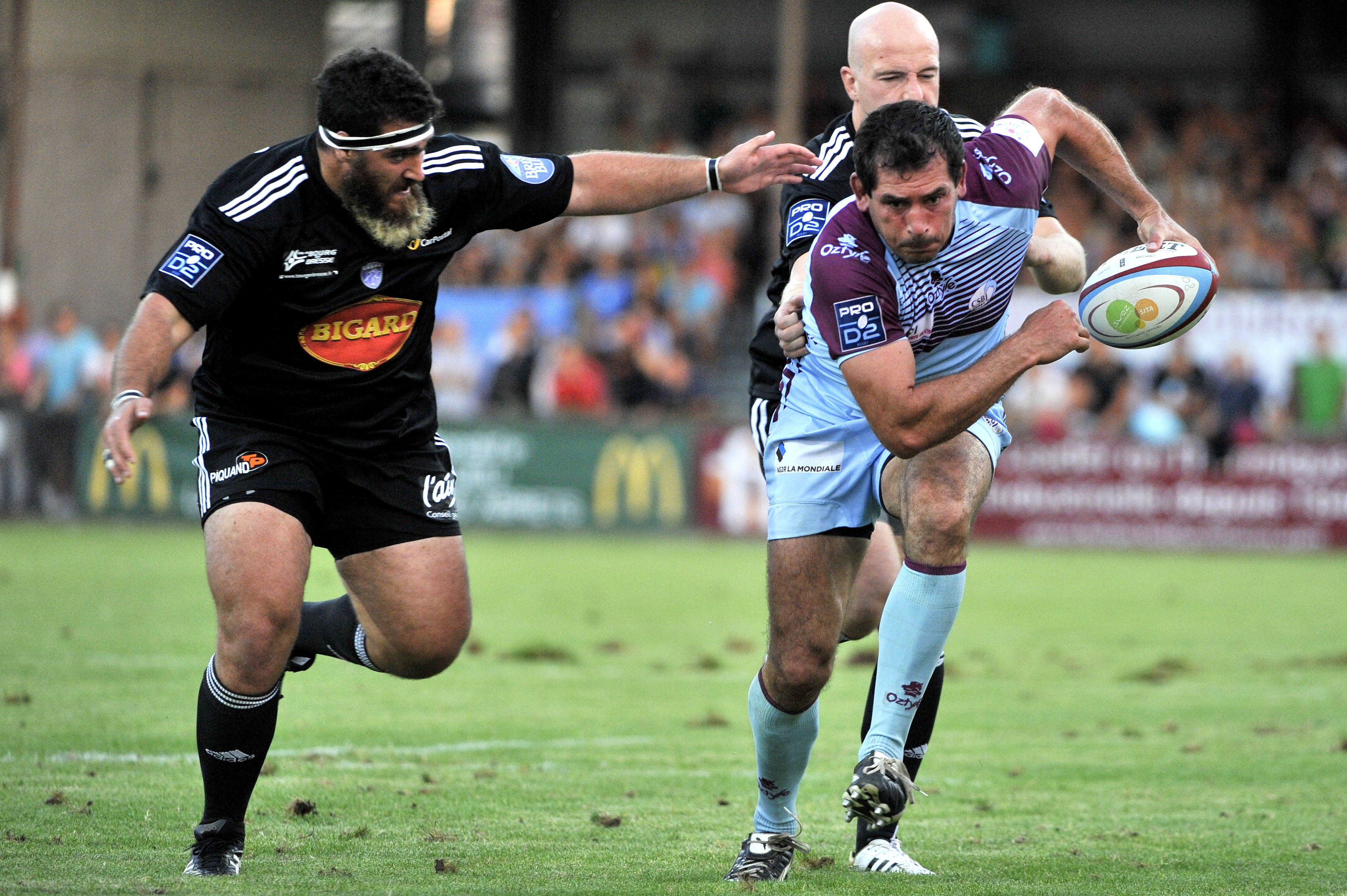 PRO D2 – J8 : Bourgoin se défend bien